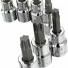 Craftsman 7 Piece Evolv Torx Bit Socket Set, 9-01005